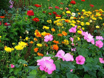 5 чувств в вашем саду. Часть III, сад ароматов