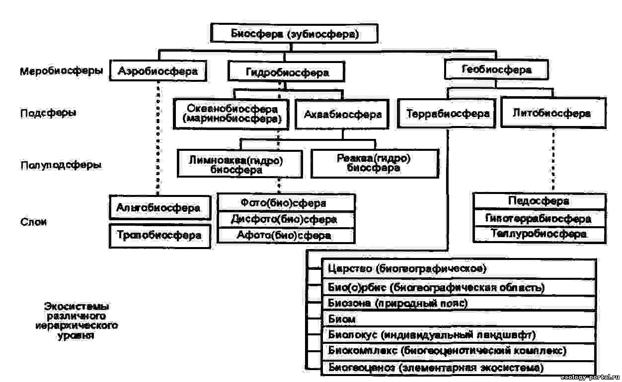 Биосфера - экосистема