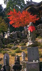 Формирование садово-паркового искусства Японии 