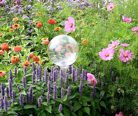 Элегантная и привлекательная цинния в летнем саду