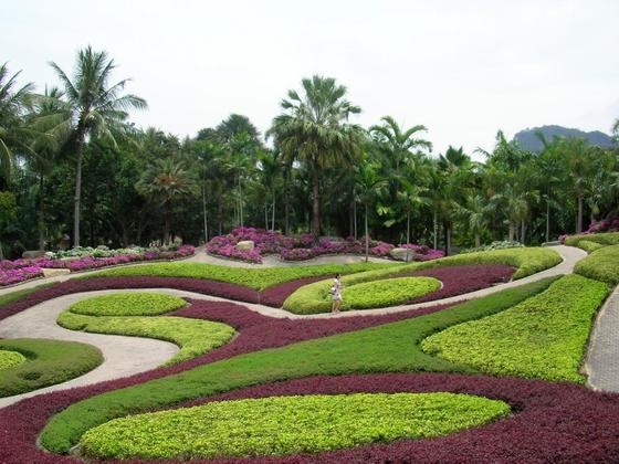 Тропический  микс сада Нонг Нуч