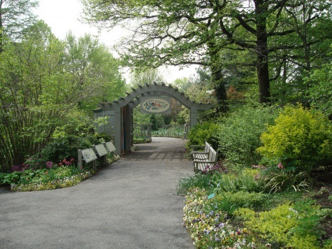 Экскурсия по Нью-Йоркскому ботаническому саду