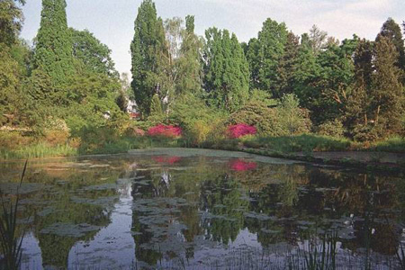 Ботанический сад Ганновера – Берггартен