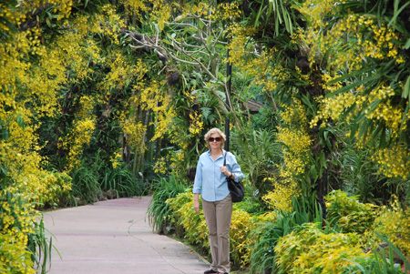 Сад орхидей в Сингапуре