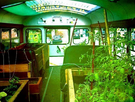 Автобус-огород
