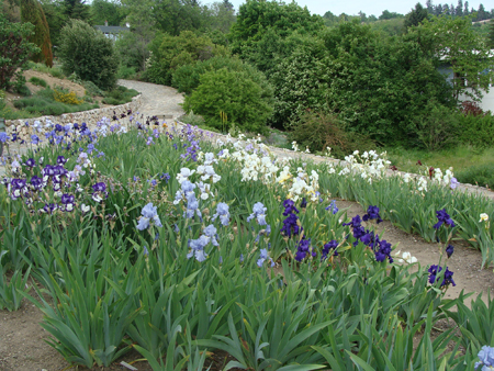 Пражский ботанический сад 
