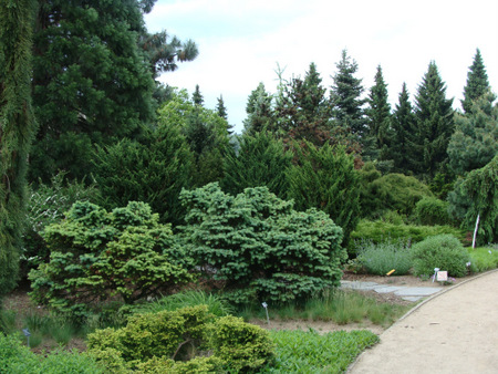 Пражский ботанический сад 