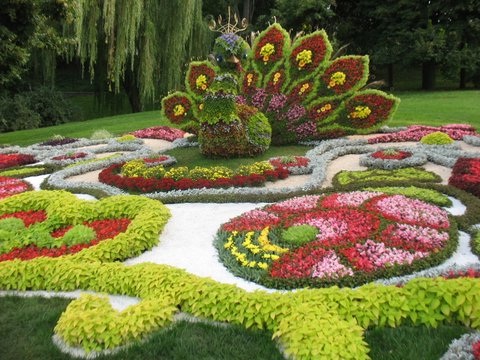 Выставка цветов в Киеве 