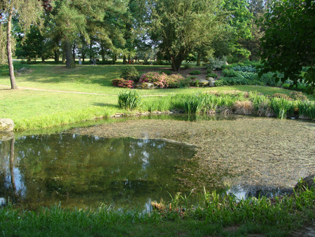 Дендрологический сад  в Пругонице