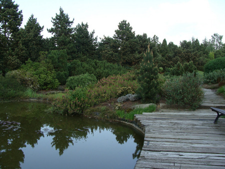Дендрологический сад  в Пругонице
