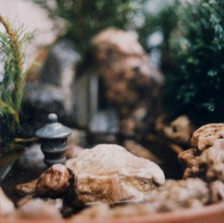 Бон-кэй - японский сад в миниатюре 