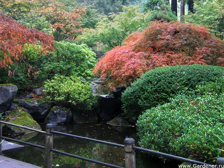 Японский сад в Портленде