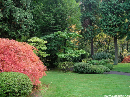 Японский сад в Портленде