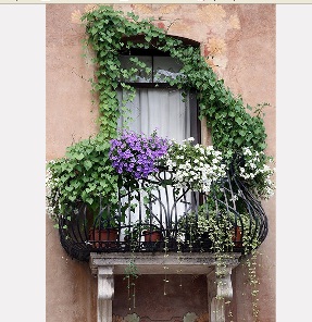 Озеленение французского балкона