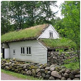 Зеленые крыши: идеи для озеленения
