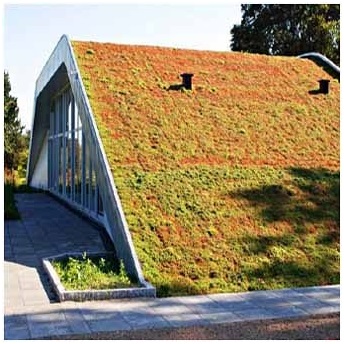 Зеленые крыши: идеи для озеленения
