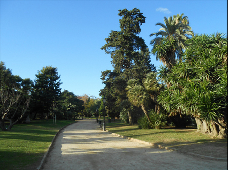 парк Цитадели