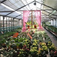 Мнение киевского гостя о садовом центре фирмы «Ваш сад» в Одессе