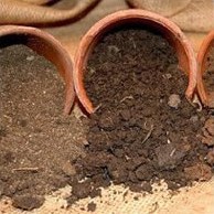 Почва – источник жизни и питания