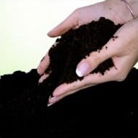 Почва – источник жизни и питания