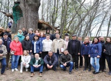 Як зберегти  пам’ятні багатовікові дерева УкраЇни?