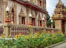 Экзотический Таиланд. Часть 4. Растения Таиланда, связанные с религиозными обрядами 