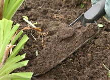 Садовая почва: Почему важно, чтобы она была хорошей