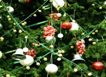 Традиционные вопросы про новогодние елки