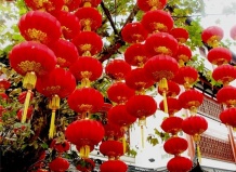 Цветы в китайской культуре