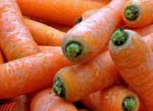 Как вырастить морковь?