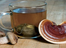 Чай из гриба избавит от ангины и атеросклероза