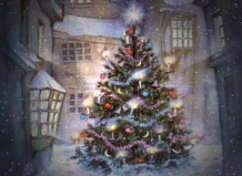 Растения Рождества (Часть 1). Традиционные деревья Рождества - растения рождества на Ваш Сад