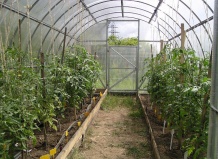 Способы выращивания растений