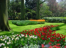 Кеукенхоф – уникальный цветочный парк