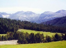 Швейцарский Национальный парк Энгадин
