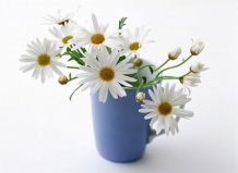 Цветы в вазе: как продлить им жизнь 