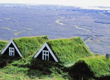 Озеленение и благоустройство крыши