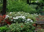 Японский сад Кайзерслаутерн: кусочек Японии в Европе