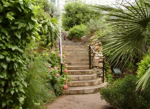 Лестницы в саду