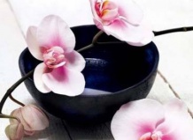 Пересадка орхидей: шаг за шагом