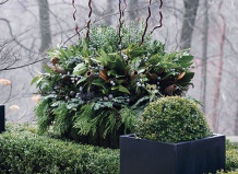  Роскошные зимние композиции из растений