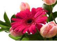10 самых романтических цветов ко дню Святого Валентина