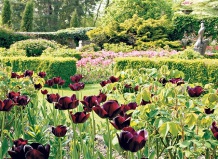10 лучших весенних садов Англии