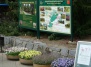 Ботанический сад в Праге