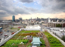Brooklyn Grange — крупнейшая в мире ферма на крыше
