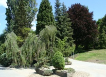 Ботанический сад  университета Менделя в Брно