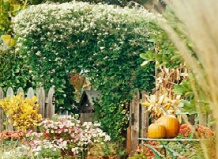 Осенний сад – советы и идеи для украшения ландшафта