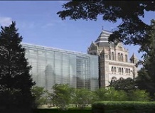 Музей «Кокон» вместит в себя 34 млн растений и насекомых