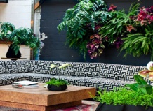 Вертикальный сад в доме – модно и практично