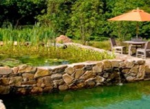 9 мифов о ландшафтном бассейне в саду 